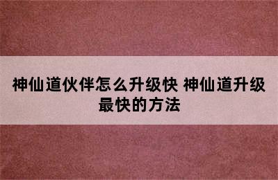 神仙道伙伴怎么升级快 神仙道升级最快的方法